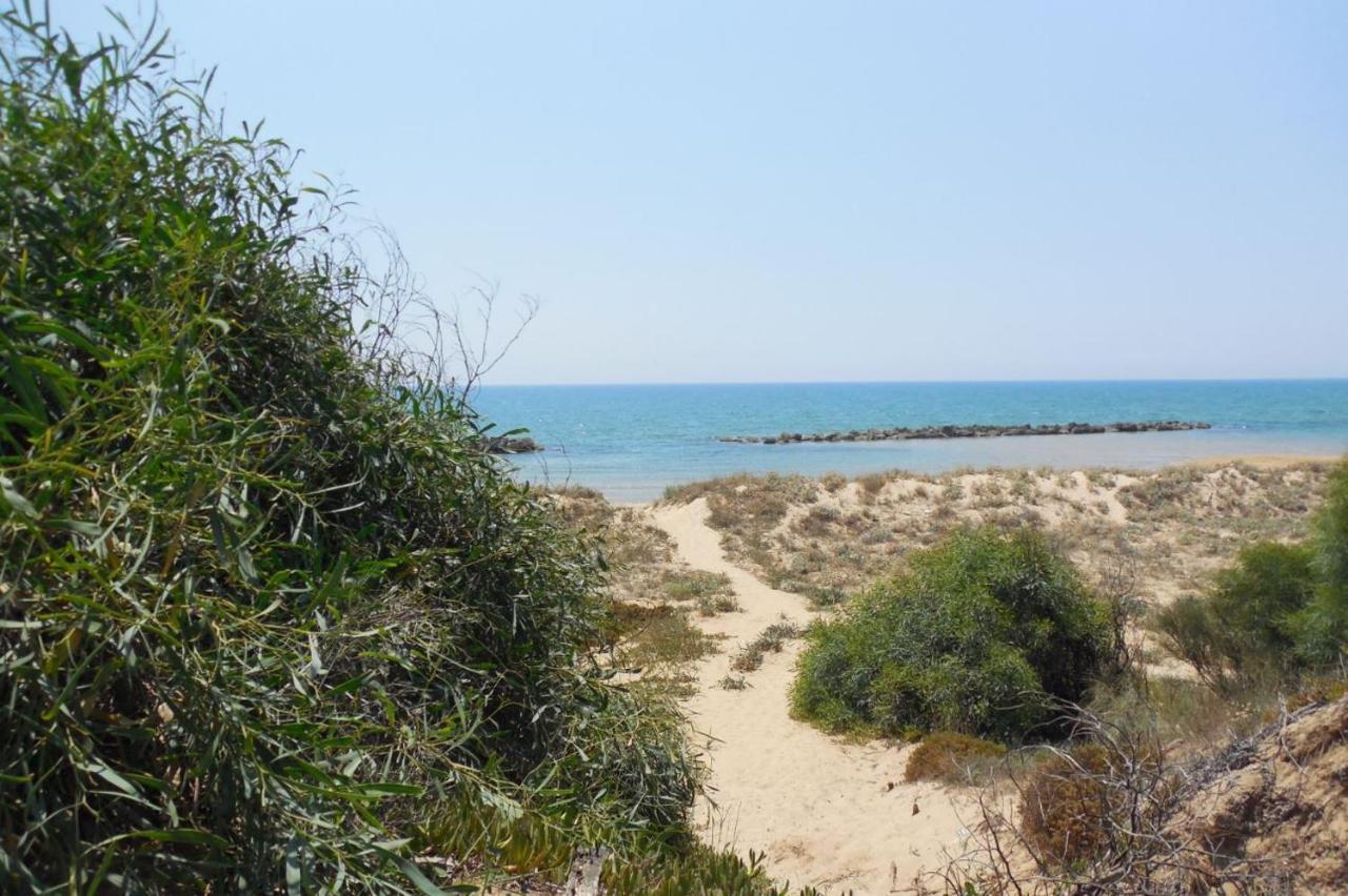 Giardino Della Nonna Bice - Locazioni Turistiche Villa Agrigento Buitenkant foto